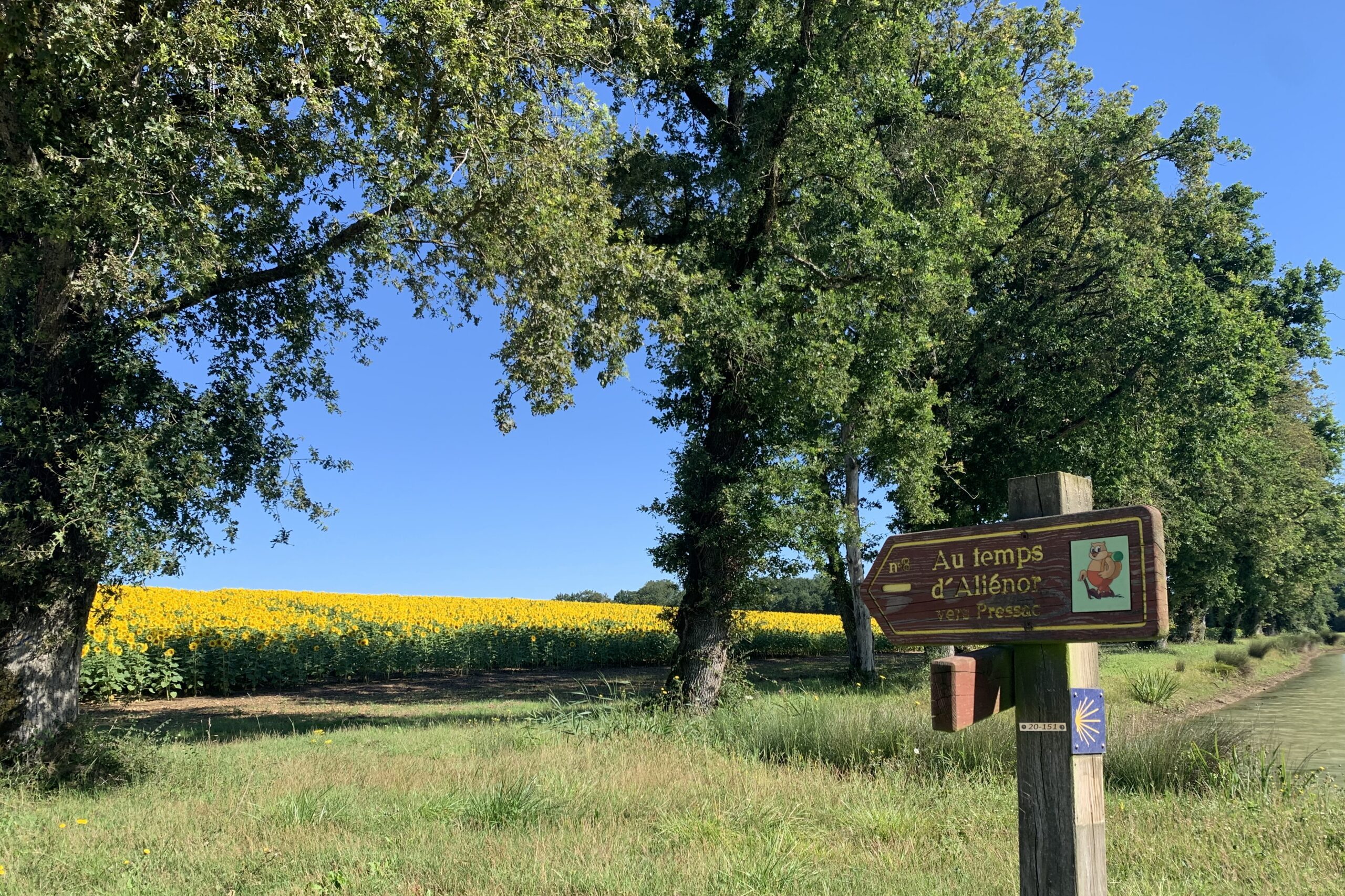 Aliénor Trails