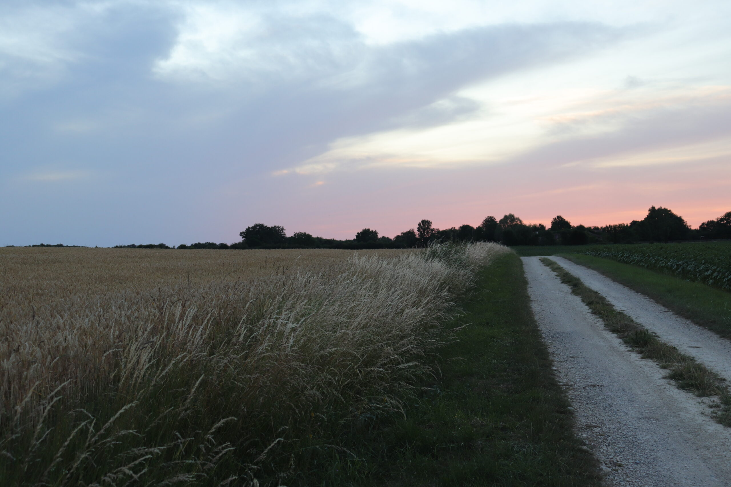 Chemin autour du gîte